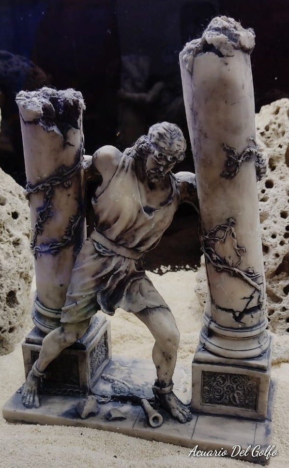 SANSON
